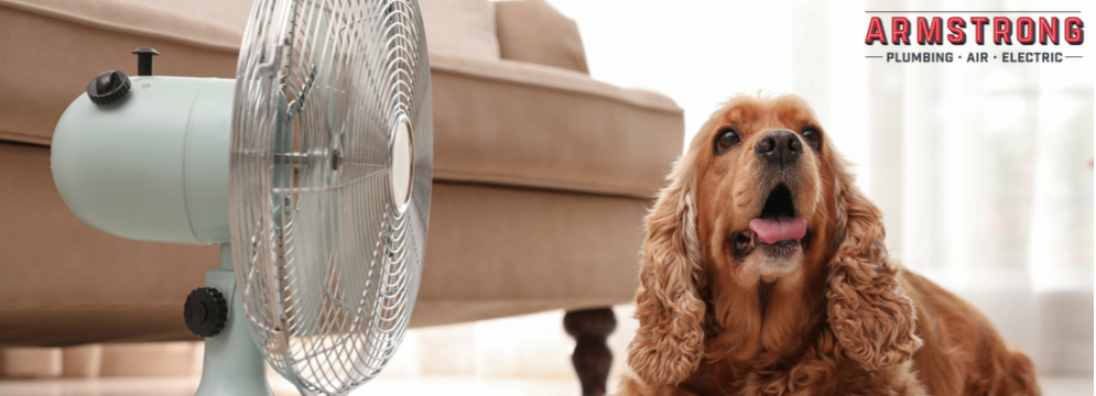 Having AC Problems? Might Be Time for an AC Replacement