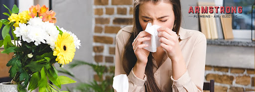 allergy season-indoor air quality